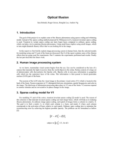 Optical Illusion - CS 229: Machine Learning