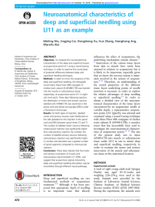 Neuroanatomical characteristics of deep and superficial needling