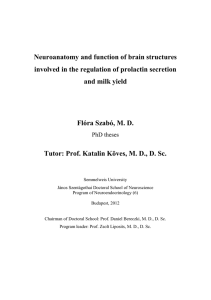 Neuroanatomy and function of brain structures involved in the