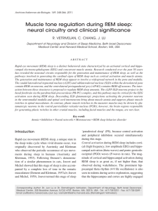 Muscle tone regulation during REM sleep