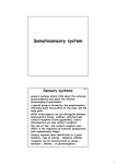 Sensory systems - somatosensation