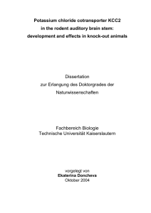 Dokument_1 - KLUEDO - Technische Universität Kaiserslautern