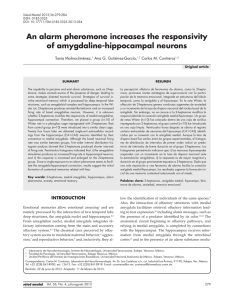 An alarm pheromone increases the responsivity of