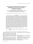 Structural and functional classes of multipolar cells in the ventral