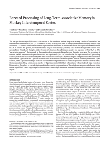 Forward Processing of Long-Term Associative Memory in Monkey