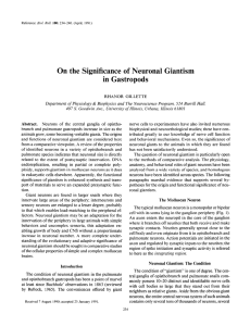 On the Significance of Neuronal Giantism in Gastropods