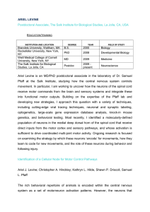 ARIEL LEVINE Postdoctoral Associate, The Salk Institute for