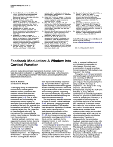 A Window into Cortical Function