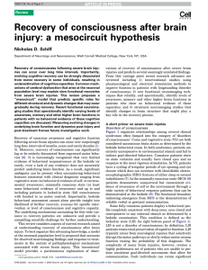 Recovery of consciousness after brain injury: a
