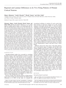 J. Neurophysiol. - Nonlinear Dynamics Group