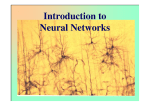 What is a neural network