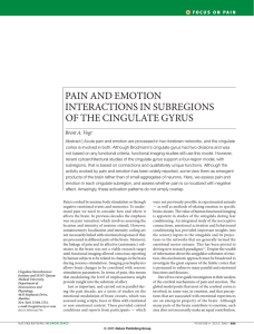 pain and emotion interactions in subregions of the cingulate gyrus