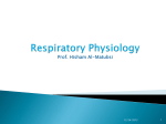 AUTONOMIC NERVOUS SYSTEM