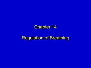 Chapter 14 Regulation of Breathing