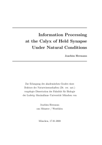 Information Processing at the Calyx of Held Under Natural Conditions