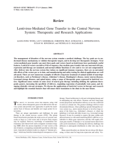 Lentivirus-Mediated Gene Transfer to the Central Nervous System