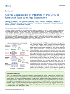 Axonal Localization of Integrins in the CNS Is Neuronal Type and