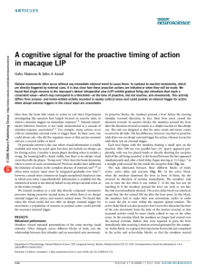 (2006) A cognitive signal for the proactive timing of action in