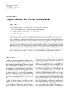 Review Article Long-Term Memory Search across the