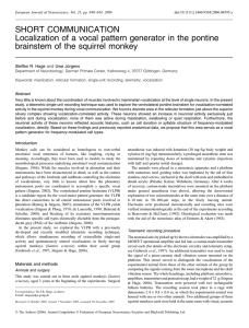 SHORT COMMUNICATION Localization of a vocal pattern generator
