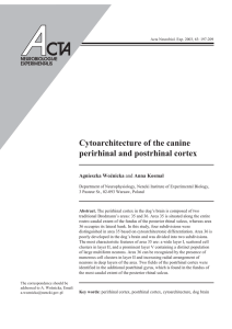 Cytoarchitecture of the canine perirhinal and postrhinal cortex