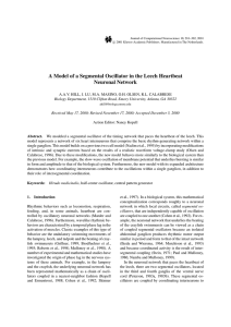 A Model of a Segmental Oscillator in the Leech Heartbeat Neuronal