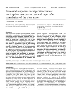 Increased responses in trigeminocervical nociceptive neurons to cervical input after