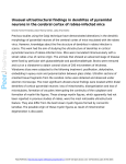 Unusual ultrastructural findings in dendrites of pyramidal