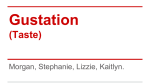 (Taste) - Badger Anatomy & Physiology