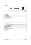 Java y NetBeans