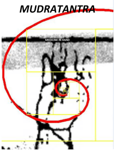 mudratantra - Lotusspace
