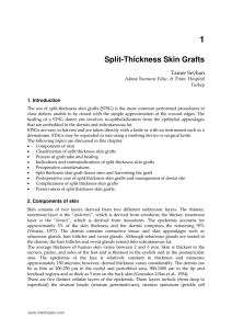 Split-Thickness Skin Grafts
