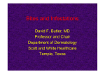 Infestations and Bites - Healthcare Professionals