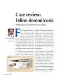 Case review: Feline demodicosis