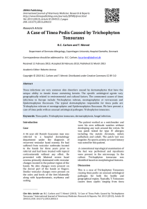 A Case of Tinea Pedis Caused by Trichophyton