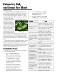 Poison Ivy, Oak, and Sumac Fact Sheet
