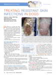 TreaTing resisTanT skin infecTions in dogs