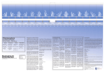 Pharmacophore: Architectural Placebo