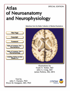 neuroanatomy - University of Toledo
