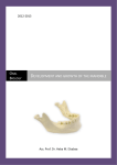 Development and growth of the mandible