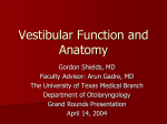 Vestibular Function and Anatomy