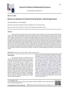 Review on Anatomy of Cerebral Arterial System