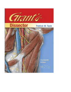 Dissection Overview