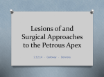 Lesions of and Surgical Approaches to the Petrous Apex