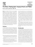 The Elbow: Radiographic Imaging Pearls and Pitfalls