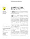 Ankle Ligaments on MRI: Appearance of Normal and Injured