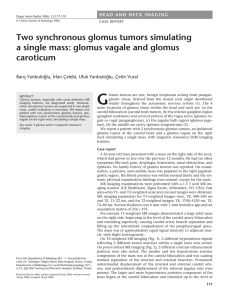 Two synchronous glomus tumors simulating a single mass: glomus