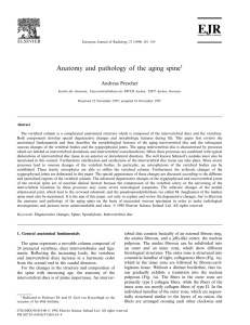 Anatomy and pathology of the aging spine1