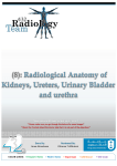 L-8 Radiological Anatomy of Kidneys, Ureters, Urinary Bladder and