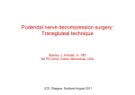 Pudendal nerve decompression surgery